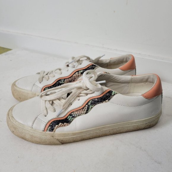 Madewell Sidewalk Low-Top Sneakers Snake Embossed Leather: Wave Edition 8 - Picture 13 of 13